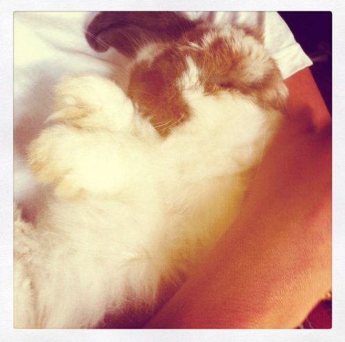 char_broadbent's profile picture. 