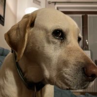 ReadDTC (@readdtc) 's Twitter Profile