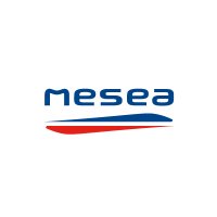 MESEA (@mesea_lgvsea) 's Twitter Profile