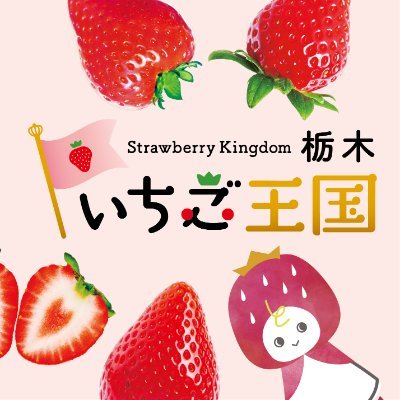 はじめまして！ 「いちご王国・栃木」の妖精