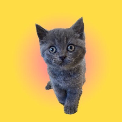 猫と犬とほんの日常を1コマ漫画〜6コマ漫画にします。猫多めです。 統一感のないイラストも、、、全くまとまりのないアカウントですが、どうぞ宜しくお願いいたします。