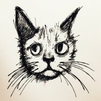 Methodkam (@methodkam) 's Twitter Profile Photo