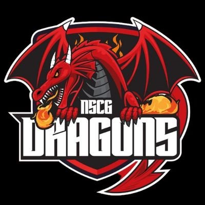 The OFFICIAL page for NSCG Dragons #BRINGTHEHEAT 🔥🔥🔥