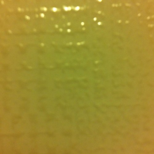 Muchomas17's profile picture. 