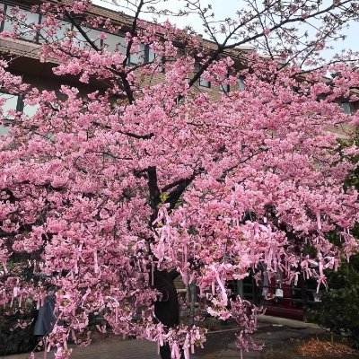 神社と鳥居好き⛩ 東京とその周辺🇯🇵
ご神社巡りの記録用として投稿。
神社が好きな友達と知り合えますように
のんびりマイペース投稿ですがよろしくお願いします𓇢