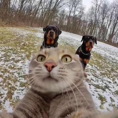 zeng1372737's profile picture. 有会中文的吗