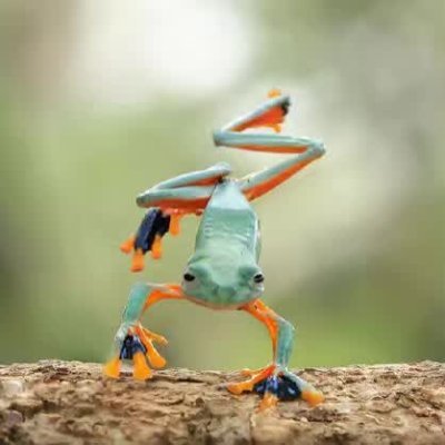 kuazhangde45476's profile picture. 夸张的