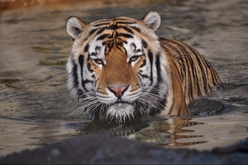 AmyMarkRogers's profile picture. 