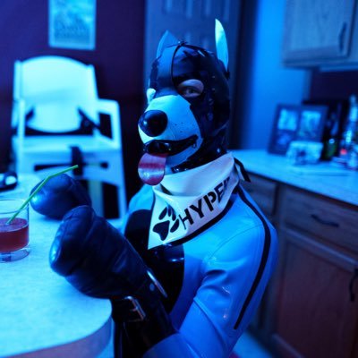 Just a dorky rubberdog 🐾 24, 🏳️‍🌈, cars, tech, say hi! 18+ 🧡@PupZuki🧡