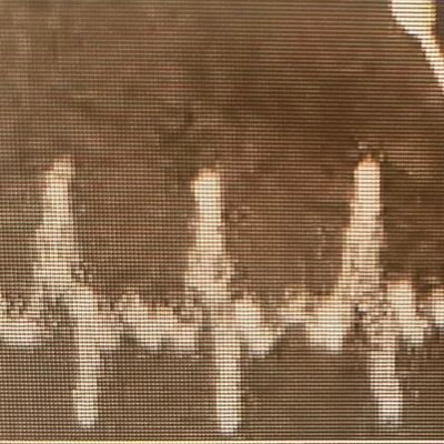 ACrytoFool's profile picture. Stay focused! Stay Positive!