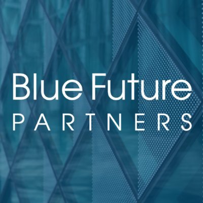 BlueFutureTeam Profile Picture