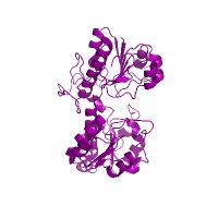 Tailoring Proteins @ DTU Biosustain(@tailor_proteins) 's Twitter Profile Photo