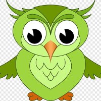 Owl ❤️ $PARAM(@OwlCoins) 's Twitter Profile Photo