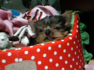 yeseuli1120's profile picture. 안녕하세요@_@