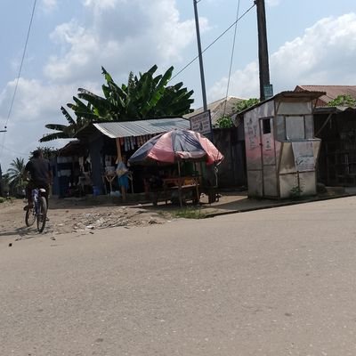 crypto202x's profile picture. Gentle