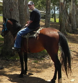 Sidnei_Kossmann's profile picture. 