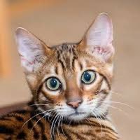 Cryptofanta_'s profile picture. 