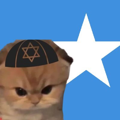 goyslop muncher | communist | supporter of shari’a facism | gigachad soymalian 🇸🇴