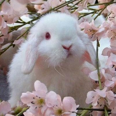 sarkar36982's profile picture. 