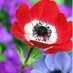 Sarvesh Kumar Singh (@sarvesh43013994) Twitter profile photo Sarvesh Kumar Singh (@sarvesh43013994) Twitter profile photo