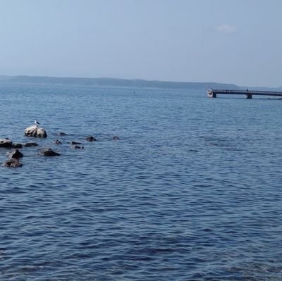 PtCk2FJbKt49269's profile picture. 