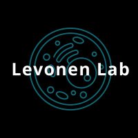 Levonen Lab(@LevonenLab) 's Twitter Profile Photo