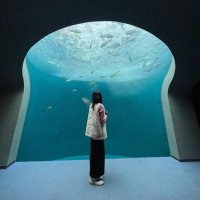 このは (@ha17ss) 's Twitter Profile