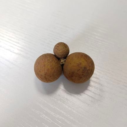 haehdfafra53310's profile picture. 区块链研究者、神秘接盘侠、喜欢交朋友