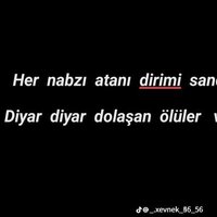 masör efe (@mustafaakk92084) 's Twitter Profile