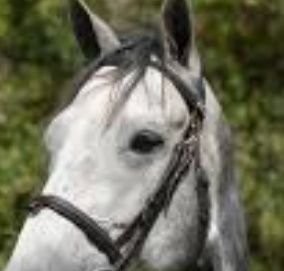 Cazzzzab's profile picture. 