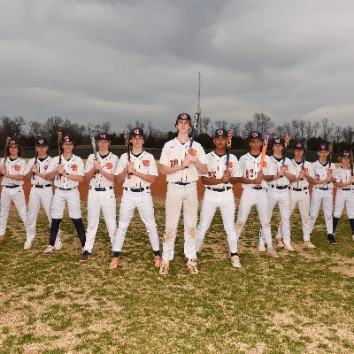 FlamesBlackman's profile picture. Blackman Middle School Flames Baseball