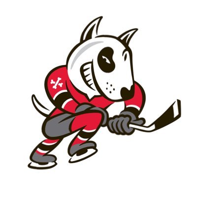 Niagara IceDogs Profile