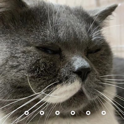 andersen_ff's profile picture. 