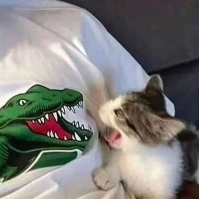 ppirikapopurala's profile picture. hai :)