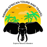 Nsimbi African Tours and Travel(@NsimbiTours) 's Twitter Profile Photo