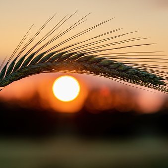 IYoloYI's profile picture. #聪明钱包 #数据分析 #memecoins #AlphaCommunity
Research the smartmoney onchain!
歪脖山上一块砖，哪里需要哪里搬~
"You Only Live Once"
—Make Something Wonderful!