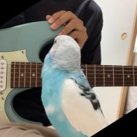 あじかん (@kajiki0408) Twitter profile photo