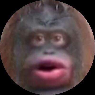 reject humanity, return to $MONKE

Hop into the Monkeverse: https://t.co/CSktaJJDrg