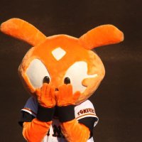 すとらいぷ (@stripe_syashin) 's Twitter Profile Photo