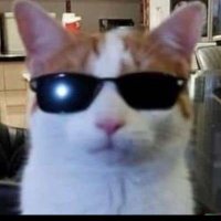 Leidiel Free 🇻🇪 (@leidiel91) 's Twitter Profile Photo