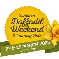 Thriplow Daffodils(@Thriplowdaffs) 's Twitter Profileg