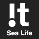 From coral reefs just beneath the ocean's surface all the way down to the seafloor, there's a breathtaking world of marine life to explore. Find it all here!