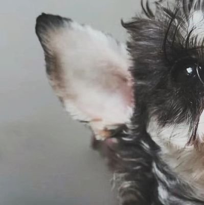 NingDuan58659's profile picture. 