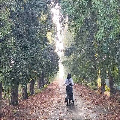 saputrifajri's profile picture. - while living, u can get tired anytime, but u can take a break-