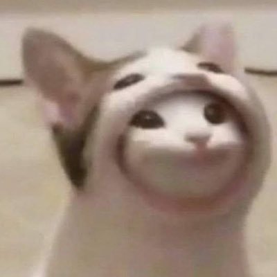 _meowshii's profile picture. 