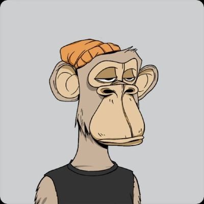 free106966's profile picture. 一见如故