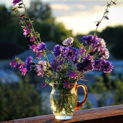 Dennison128's profile picture. 