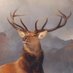 boras1995 (buying galleries) (@borassorare) Twitter profile photo boras1995 (buying galleries) (@borassorare) Twitter profile photo