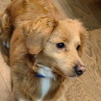 unzboo (@pcipkcvza2wcgih) 's Twitter Profile