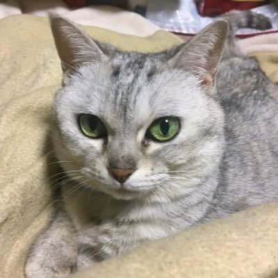 modsvespa50s's profile picture. 玉井詩織/高城れに/上田理子/BAND-MAID/BABYMETAL/水野由結/ｦﾄﾞﾙﾏﾖﾅｶ/星影獅音/PUNK/ HR・HM/ライブ参戦/模型鉄/ﾓﾉﾉﾌ/隊員/虹家族/ももクロと一緒にｷﾞﾈｽ記録保持者/ﾓﾉﾉﾌ隊員虹家族ﾌｫﾛﾊﾞ100％